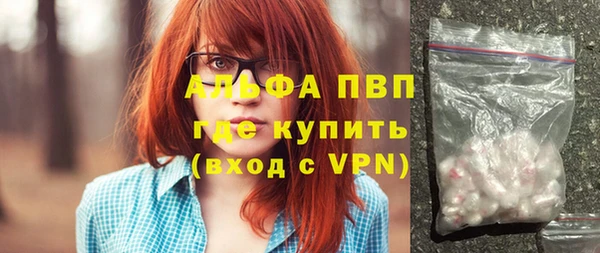 дживик Козельск