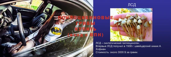 ECSTASY Кодинск