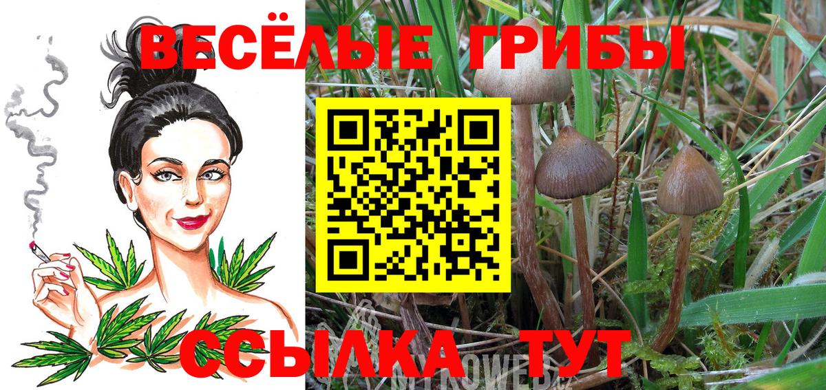 Галлюциногенные грибы прущие грибы Карпинск